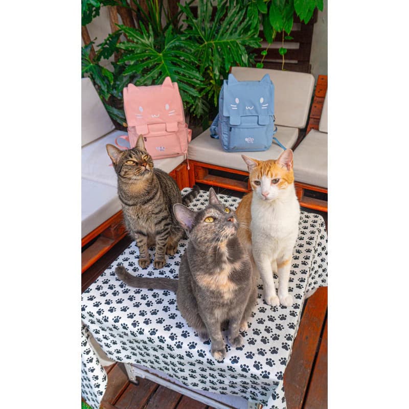 Mochila Kawaii Gatito T-Go Porta Notebook 14" | Diseño Aesthetic — Rosa