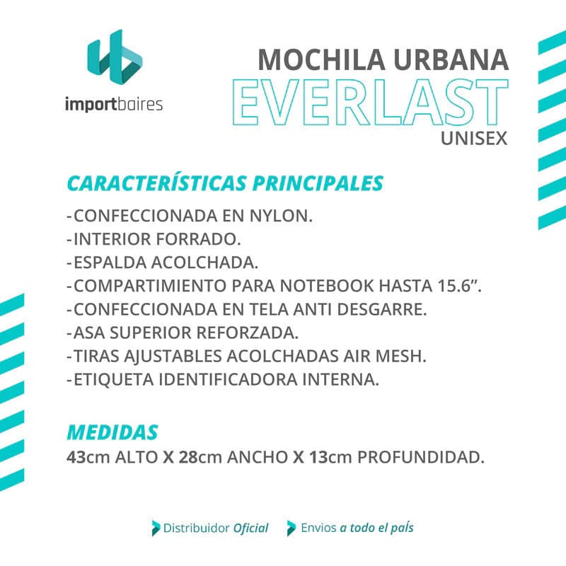 Mochila Everlast Urbana Porta Notebook 15,6" — 20 L, Nylon, 4 Bolsillos — Negro con gris / Liso