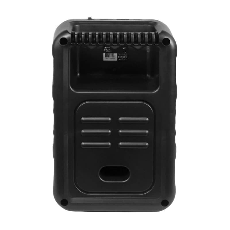 Parlante Bluetooth T-Go Berlín con Luces RGB y Radio FM — Portátil 4"