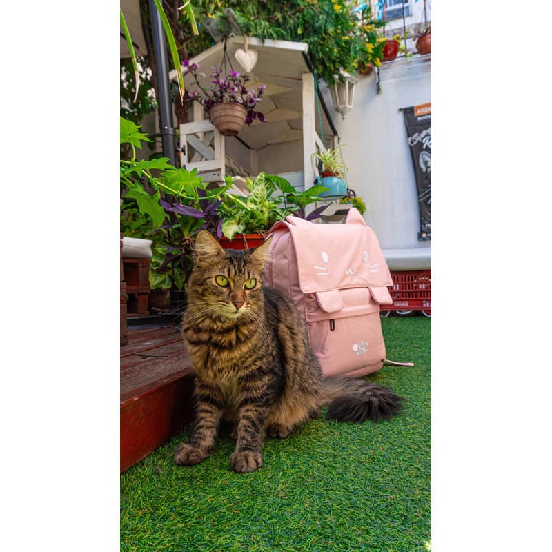 Mochila Kawaii Gatito T-Go Porta Notebook 14" | Diseño Aesthetic — Rosa
